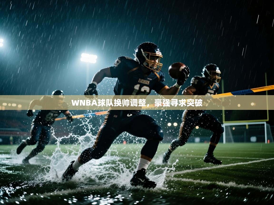 WNBA球队换帅调整，豪强寻求突破  第2张