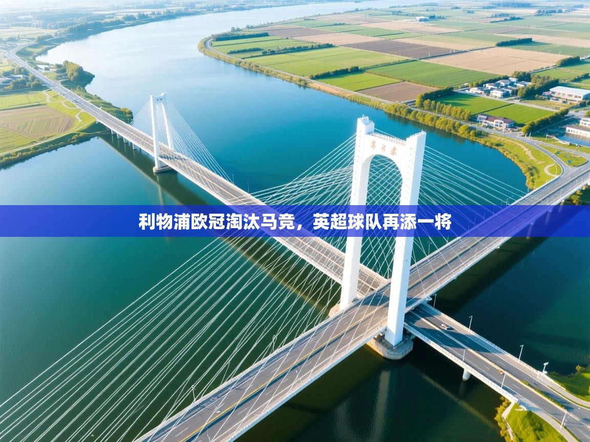 利物浦欧冠淘汰马竞，英超球队再添一将  第2张